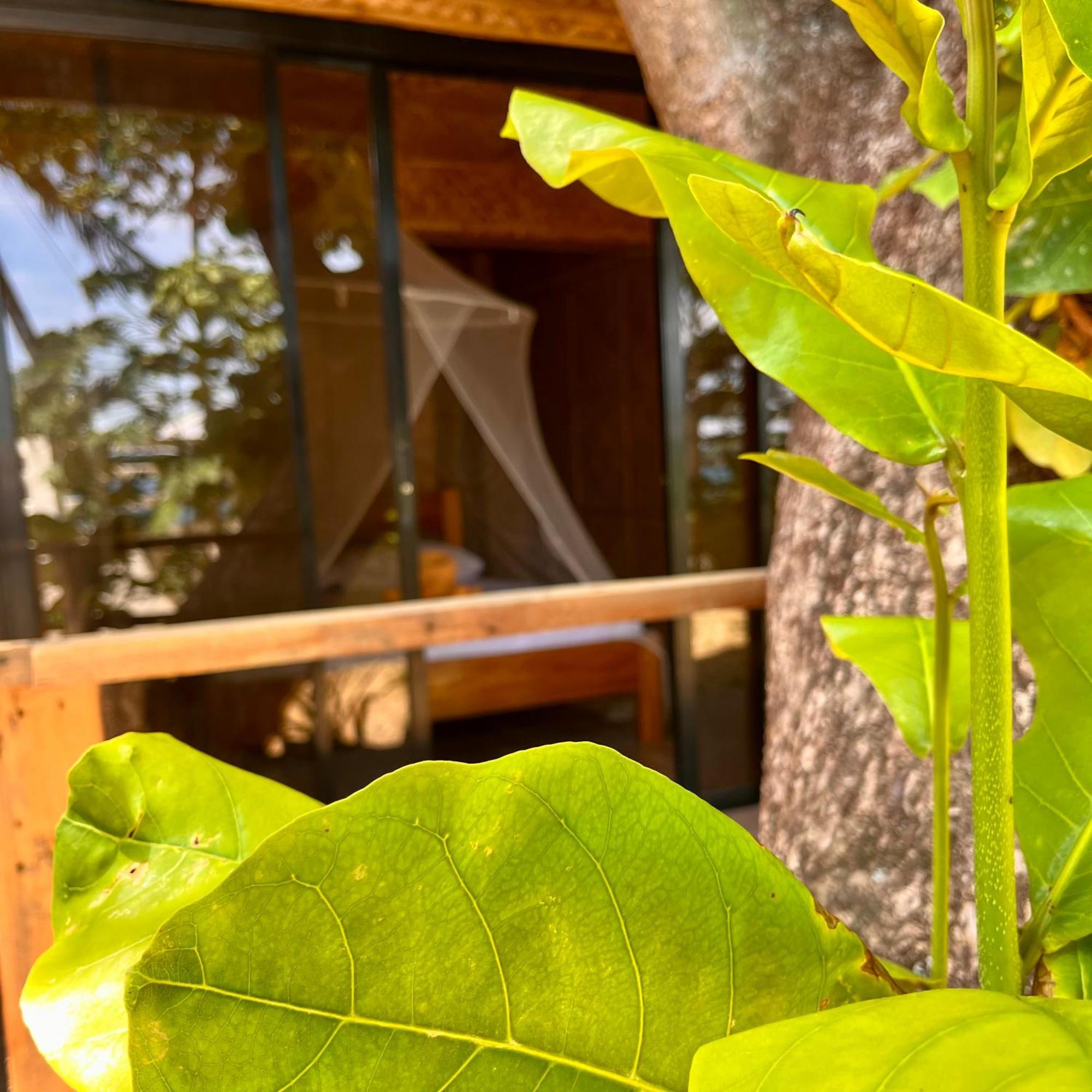 Amami Beachfront Villa With Private Beach Puerto Galera Esterno foto
